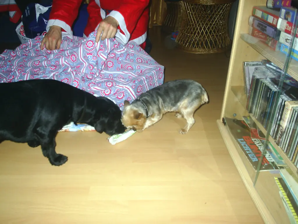 Image from Denny