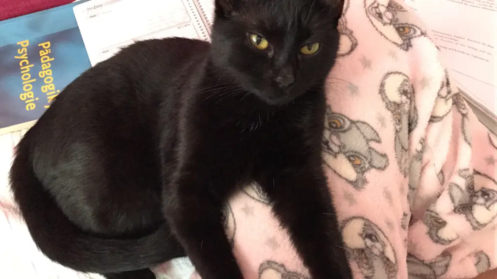 Condolence image of Nina Rein