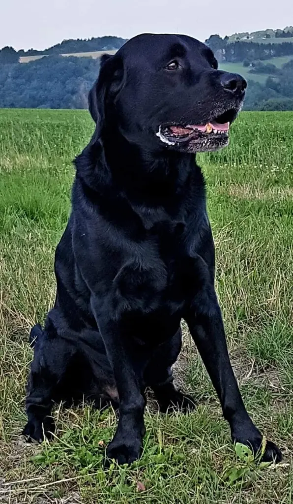 Andachtsbild von Nicole