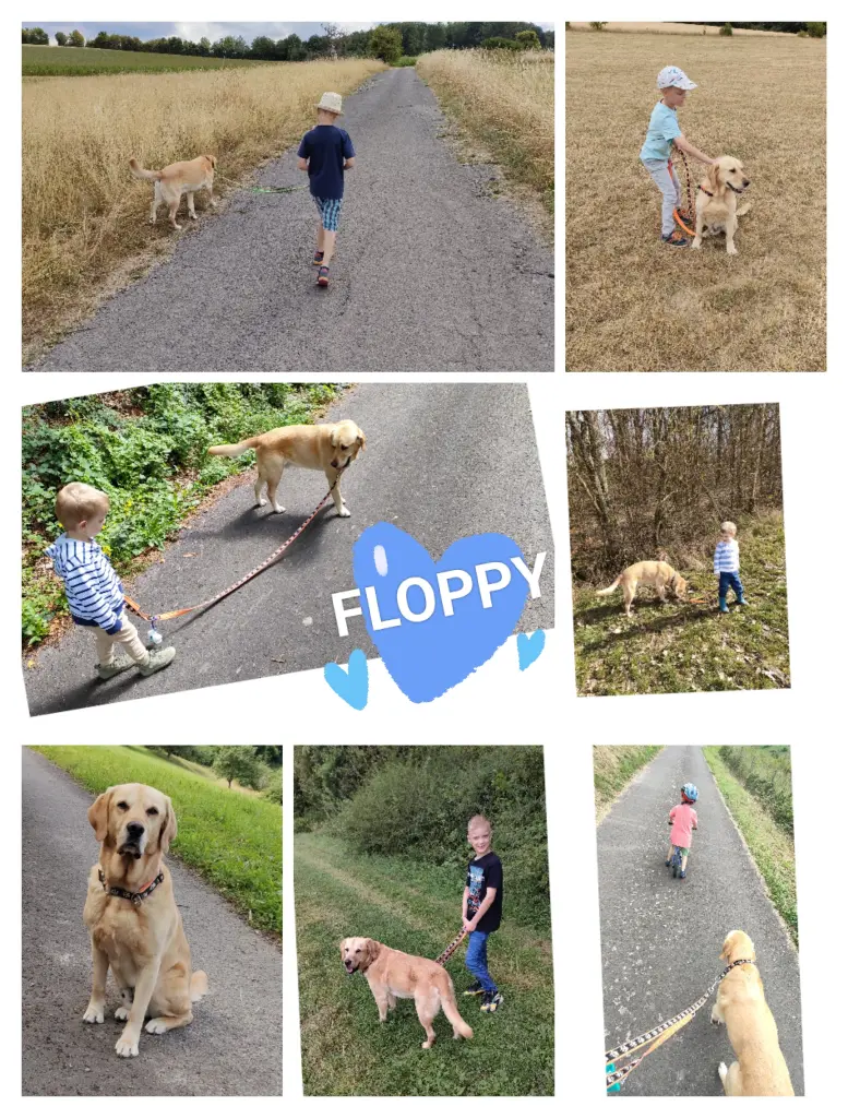 Condolence image of Nina