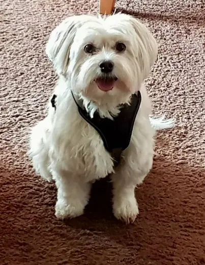 Bild von Maximilian (Max)