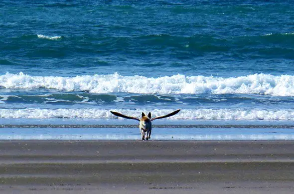 Condolence image of Beate