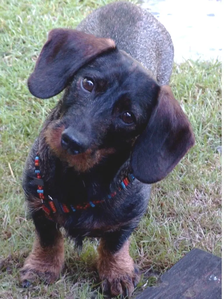 Condolence image of Heidi