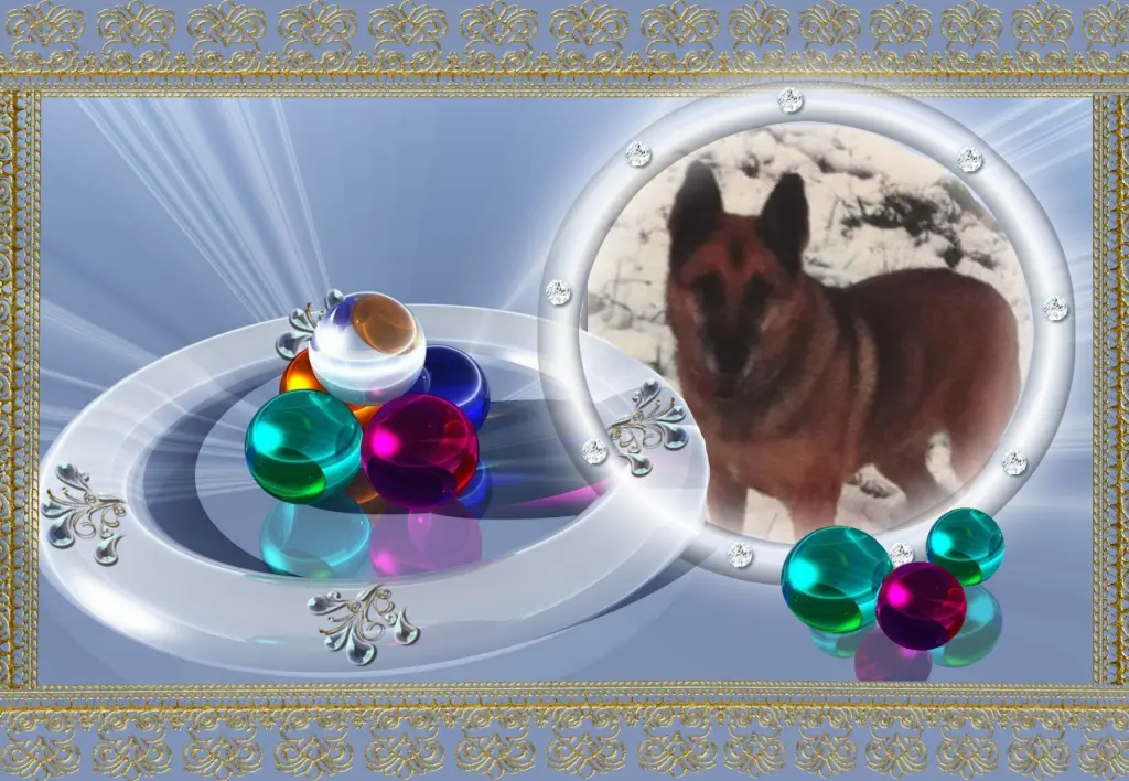 Condolence image of Klaudia mit Misiu❤❤❤Ganz Tief im Herzen❤