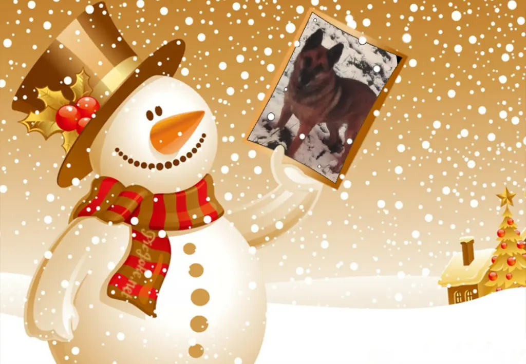 Condolence image of Klaudia mit Misiu❤❤❤Ganz Tief im Herzen❤