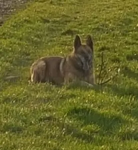 Condolence image of Claudia