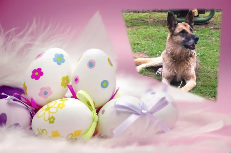 Condolence image of ❤️❤️❤️