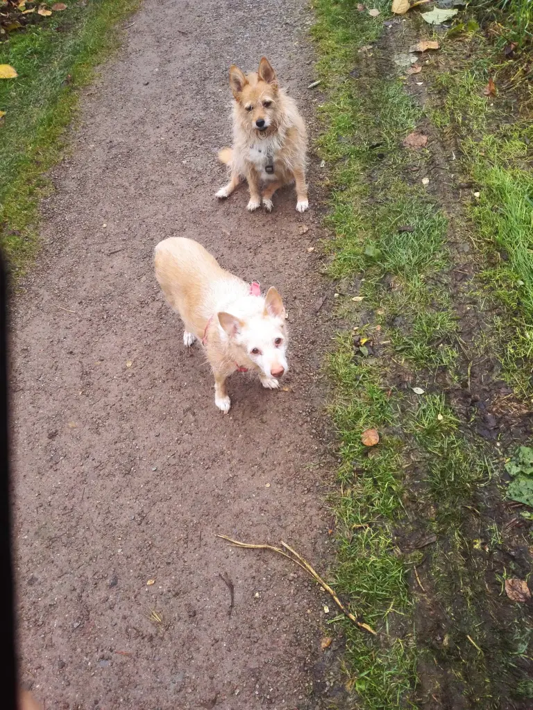 Condolence image of Unbekannt