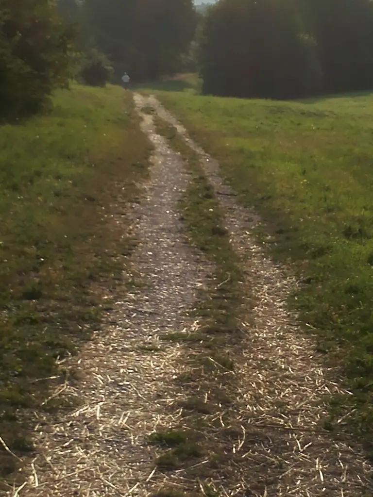 Condolence image of Martina Jörg und Kevin mit Lia und Linsi im Herzen