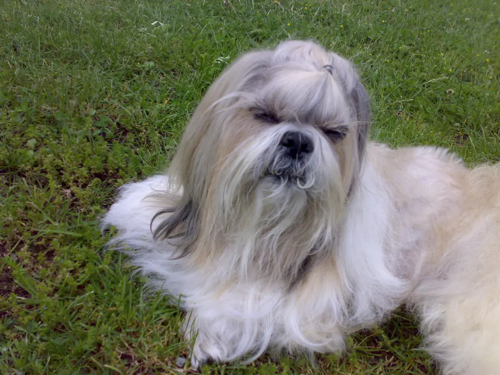 Condolence image of karin + Thomas