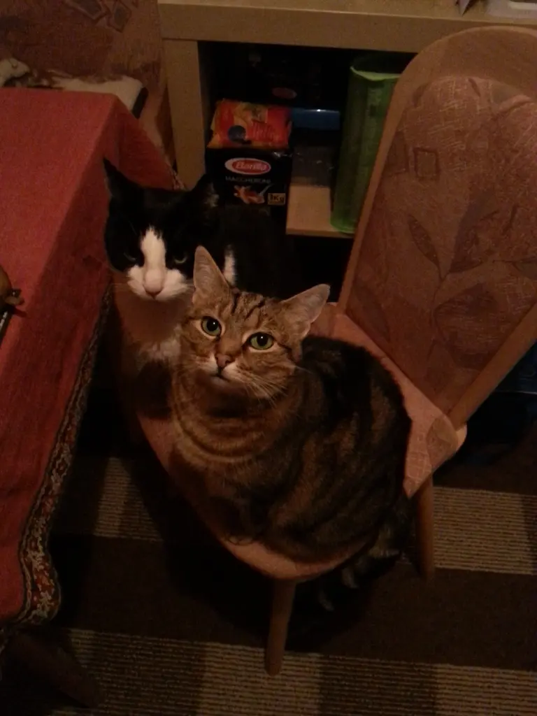 Condolence image of Peter und Marina mit Whisky Gestorben am 25.11.2017