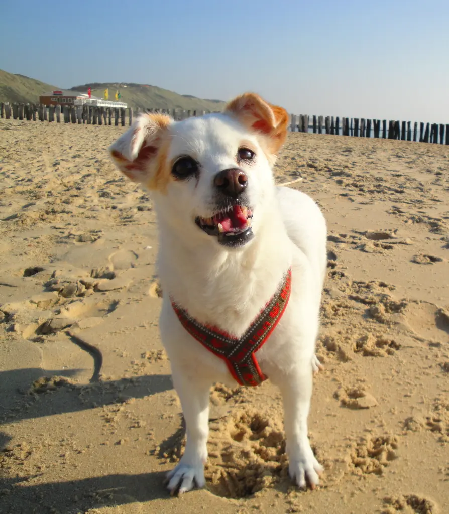 Condolence image of Beatrice