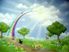 Condolence image of Frank