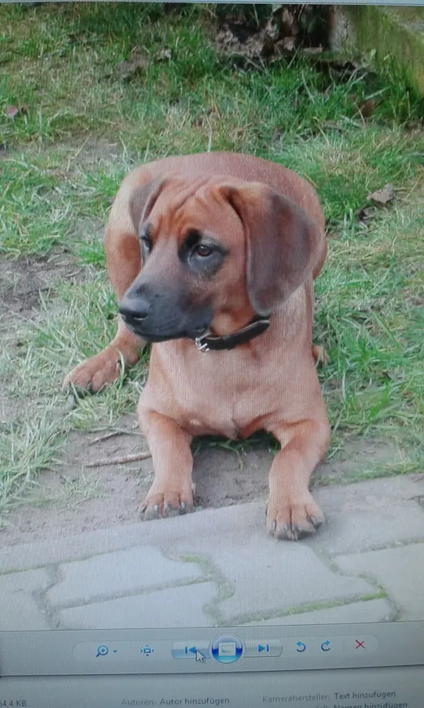 Condolence image of Unbekannt