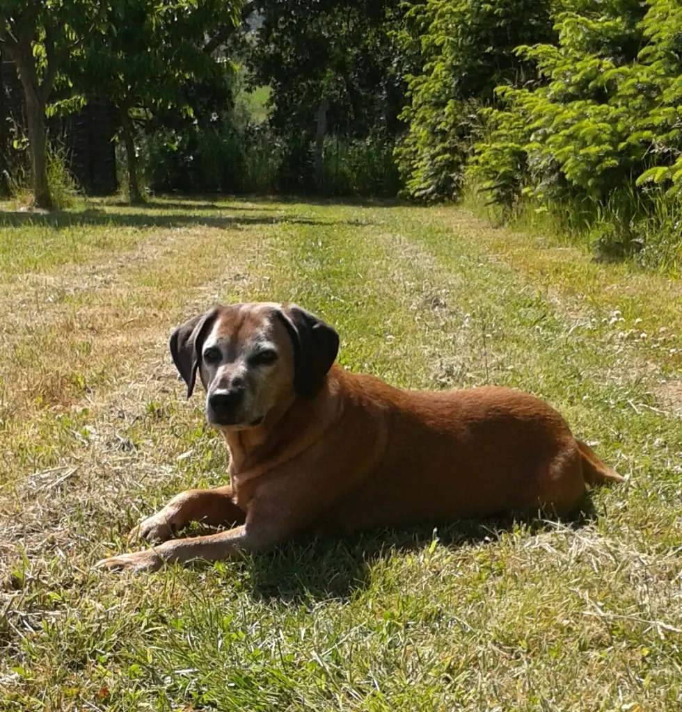 Condolence image of Unbekannt