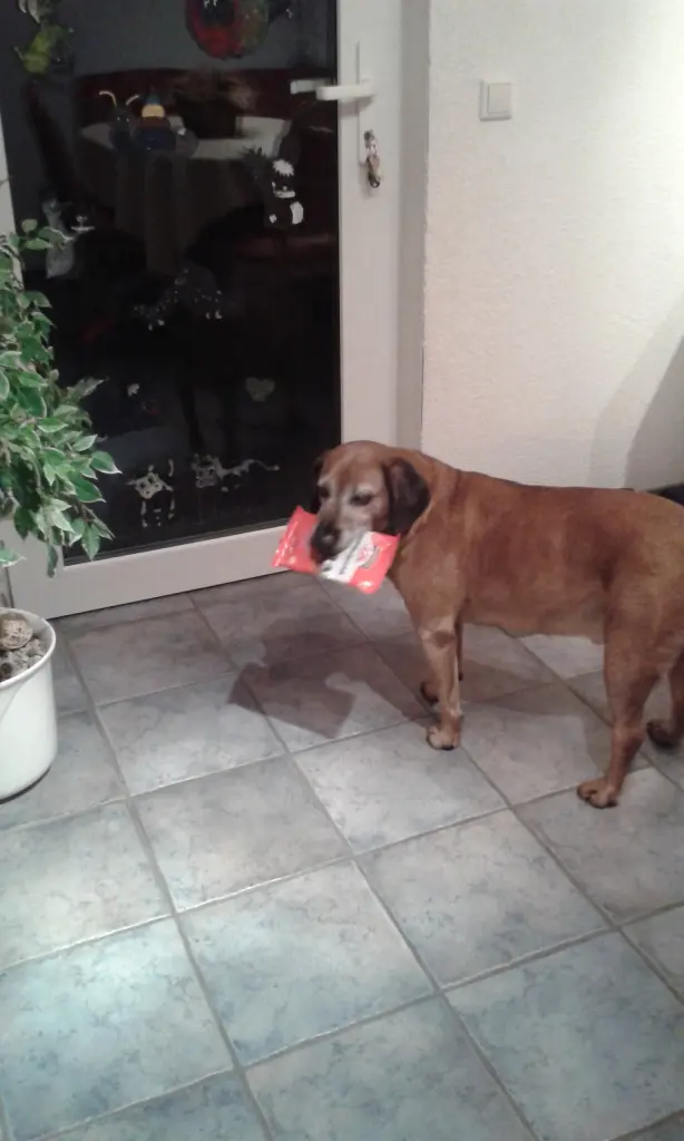 Condolence image of Unbekannt