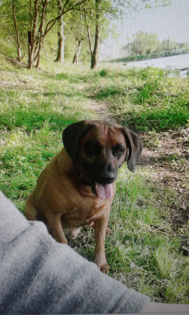 Condolence image of Unbekannt