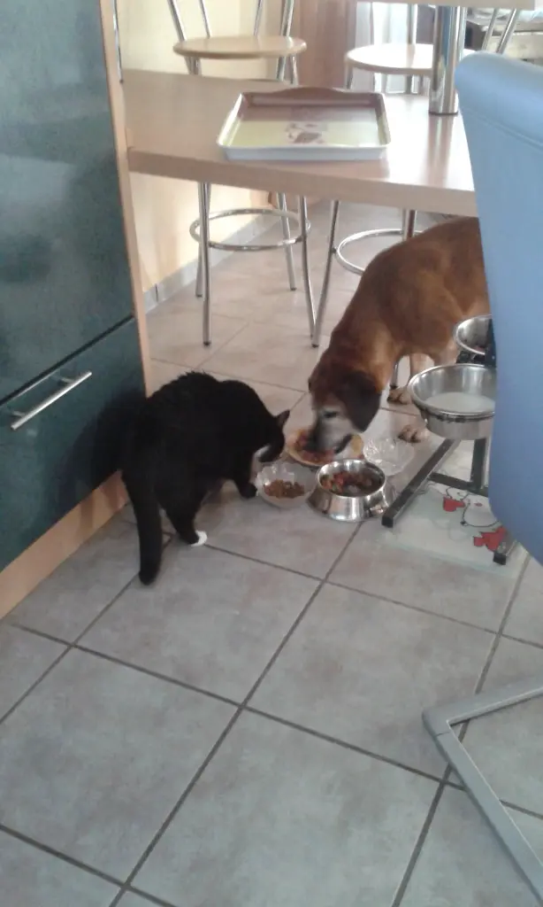 Condolence image of Unbekannt