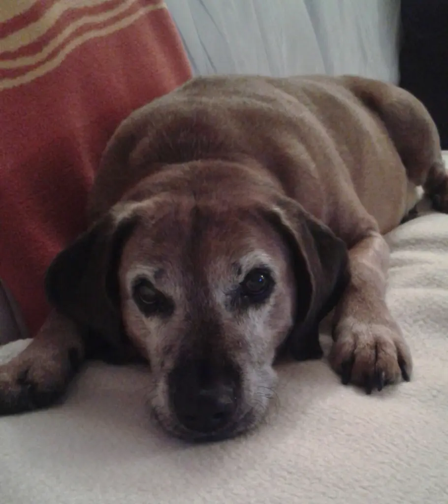 Condolence image of Sylvia