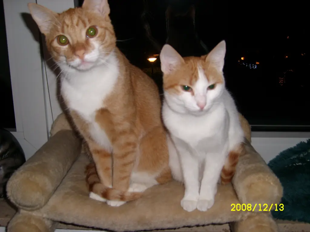 Condolence image of Jutta  Kühn