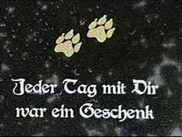 Condolence image of Manuela mit Fiby + 31.01. 2025♡♡♡