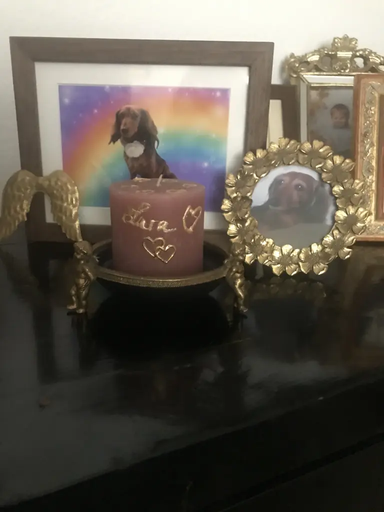 Condolence image of Diana mit Lara ♥️