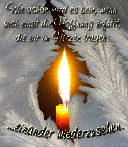 Condolence image of Manuela mit Fiby im Herzen ❤️
