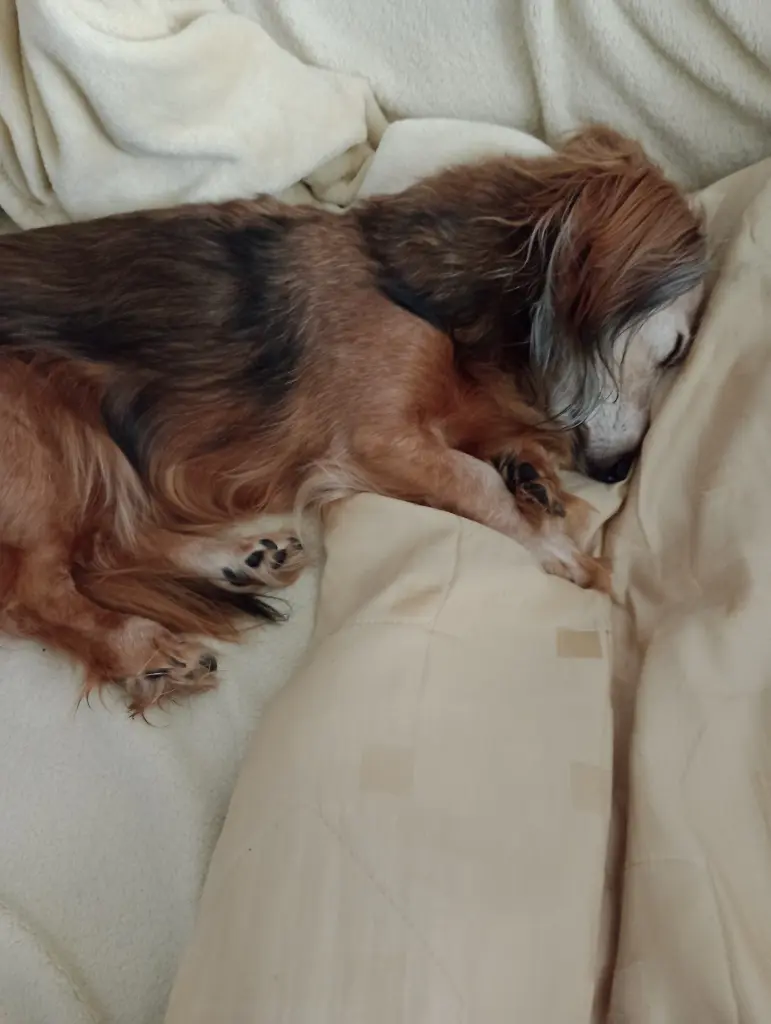 Condolence image of ♥️Mama ♥️