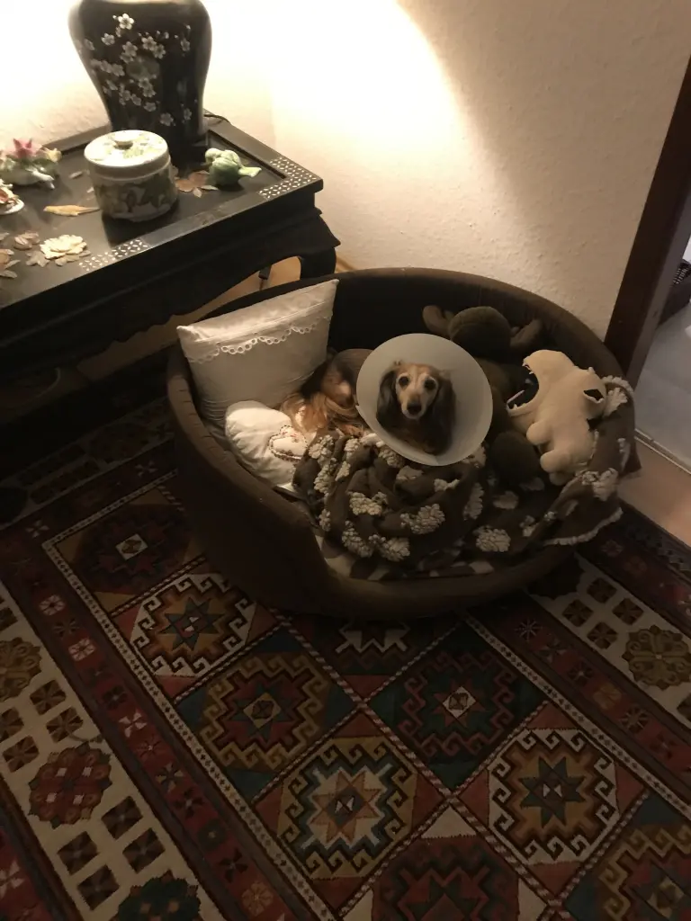 Condolence image of Unbekannt