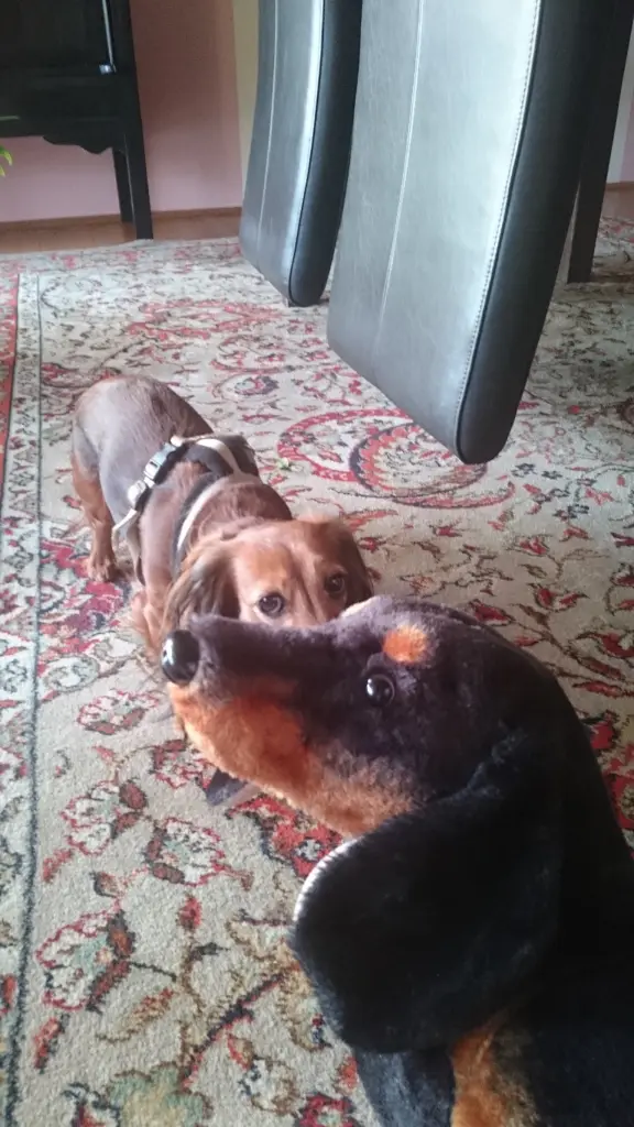 Condolence image of Unbekannt