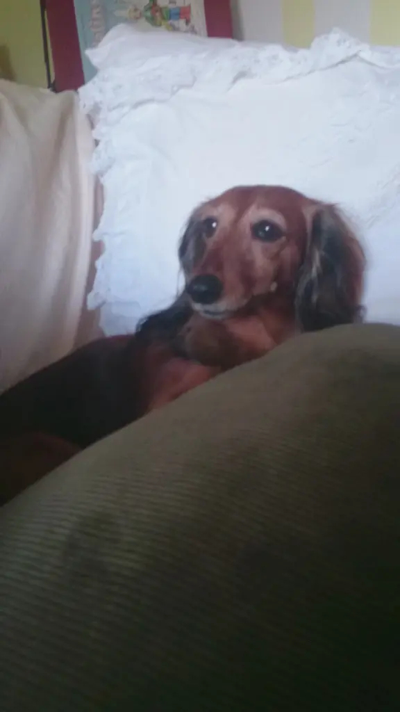 Condolence image of Mama liebt dich ♥️