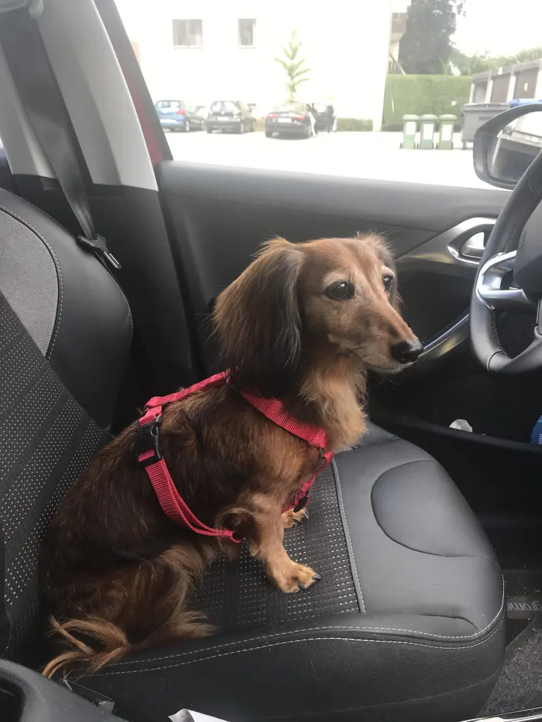 Condolence image of ♥️Mama liebt dich ♥️