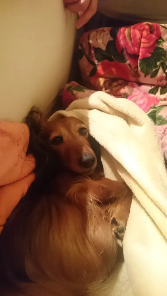 Condolence image of Mama liebt dich♥️