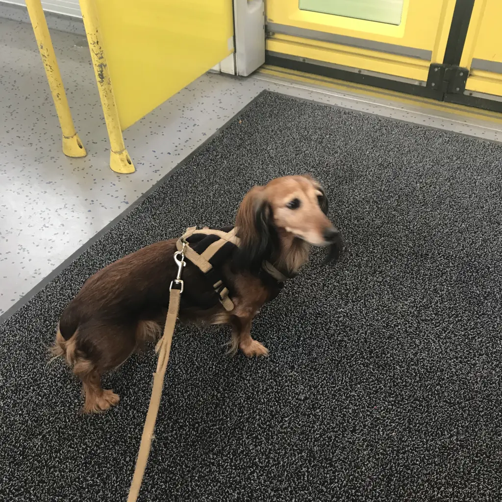 Condolence image of Unbekannt