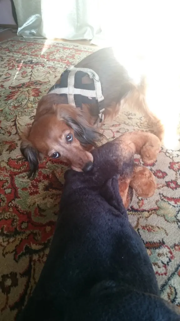 Condolence image of ♥️♥️♥️♥️♥️♥️♥️♥️♥️