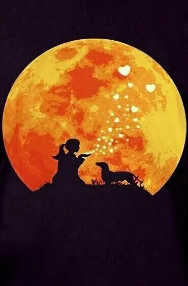 Condolence image of Martina mit Seelenhund Samy ♥️⭐♥️ für immer im Herzen 