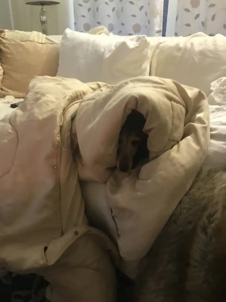 Condolence image of Unbekannt