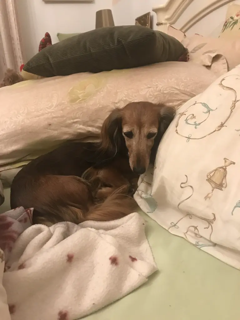 Condolence image of ♥️Mama liebt dich für immer mein Herz ♥️