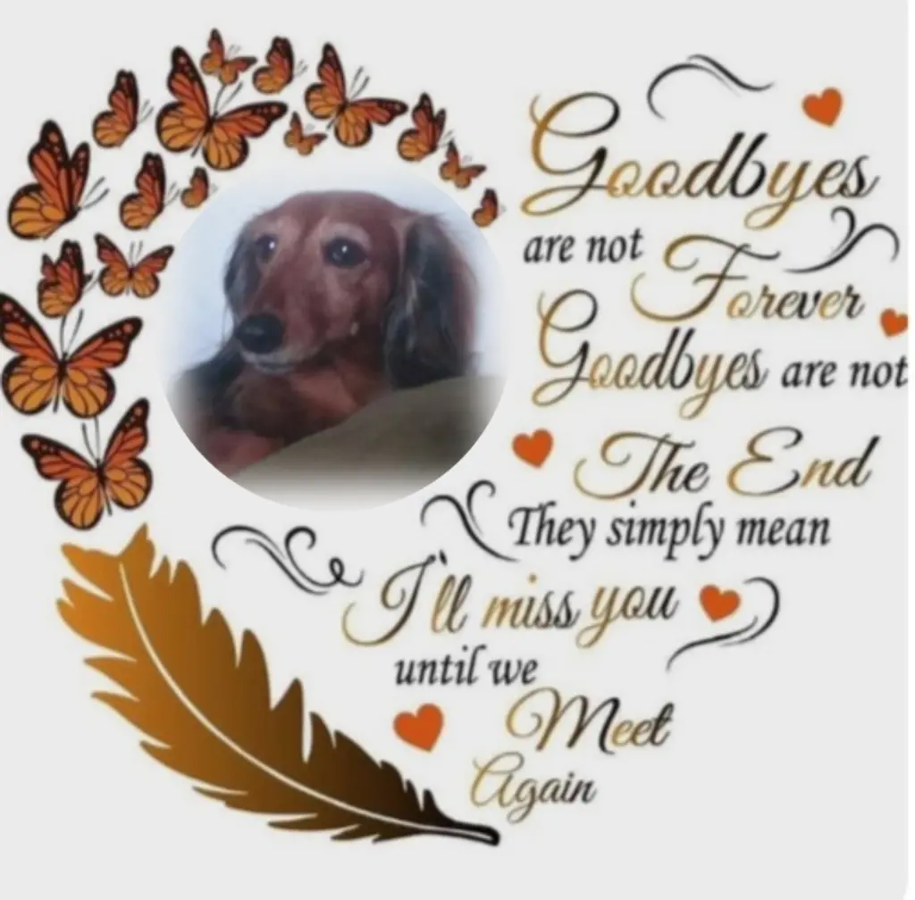 Condolence image of Lara♥️ geliebt♥️ und unvergessen♥️ 