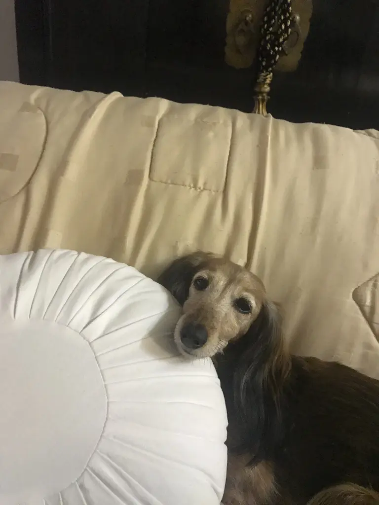 Condolence image of Unbekannt