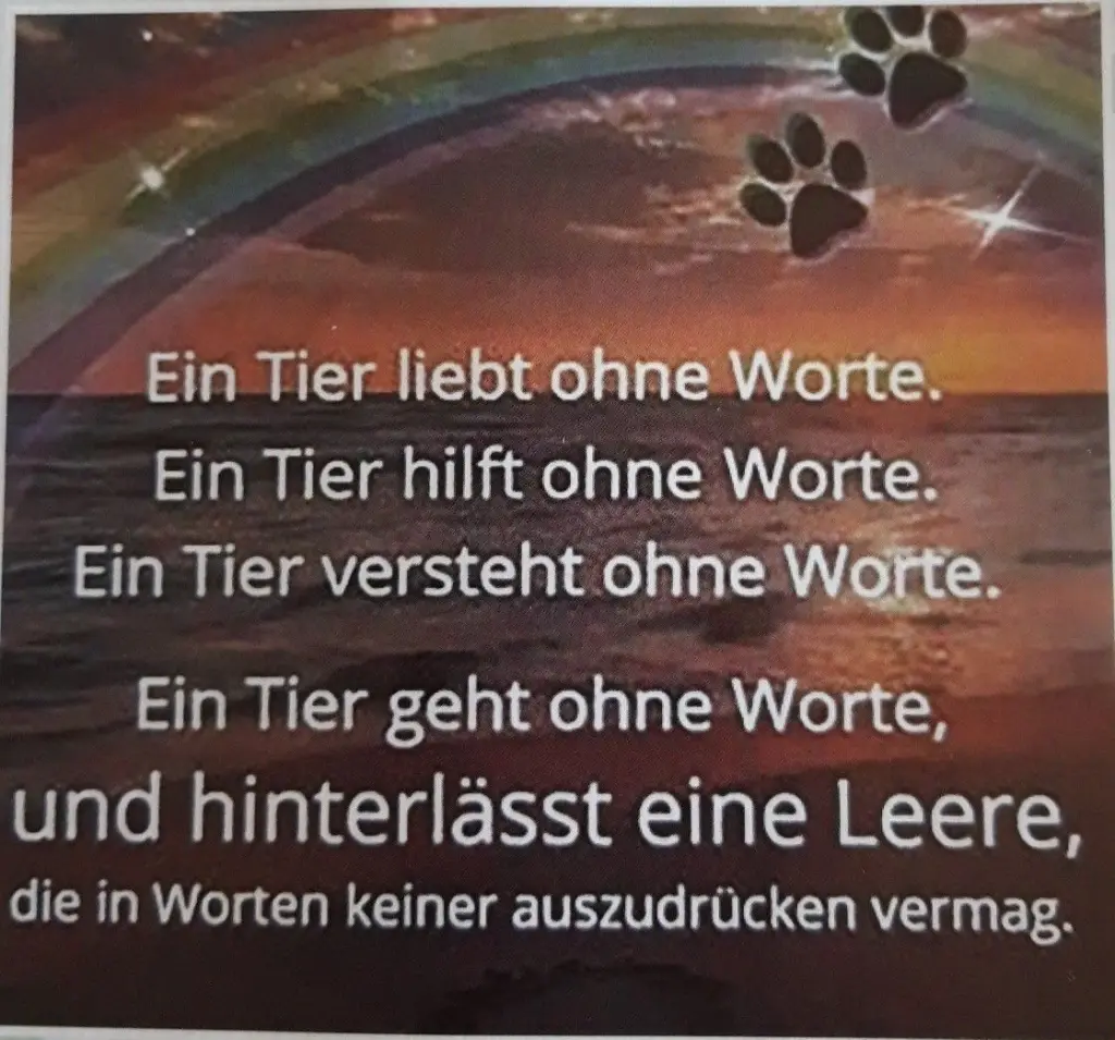 Condolence image of Paul mit "Seelenhund Spiky im Herzen"