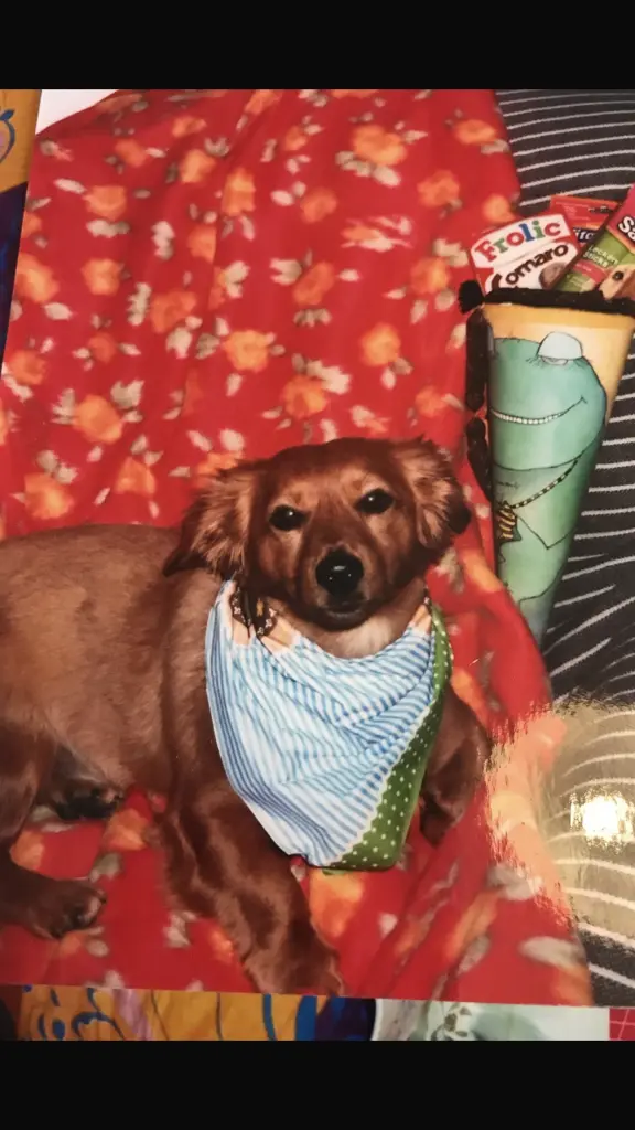 Condolence image of Heike 