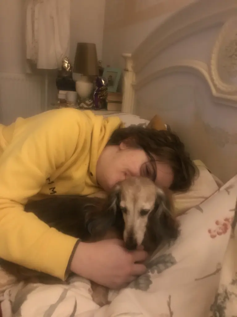 Condolence image of Für Lara ♥️♥️♥️♥️♥️♥️♥️