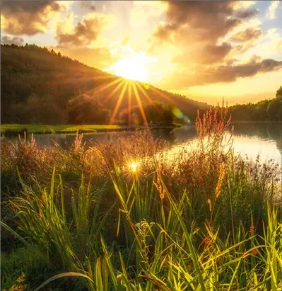 Condolence image of ♡ Herzen ♡ 