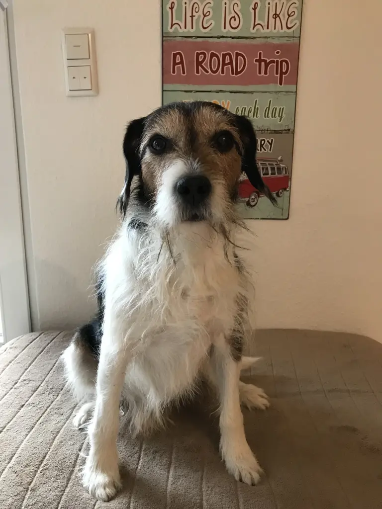 Condolence image of Steffi mit Paul im Herzen