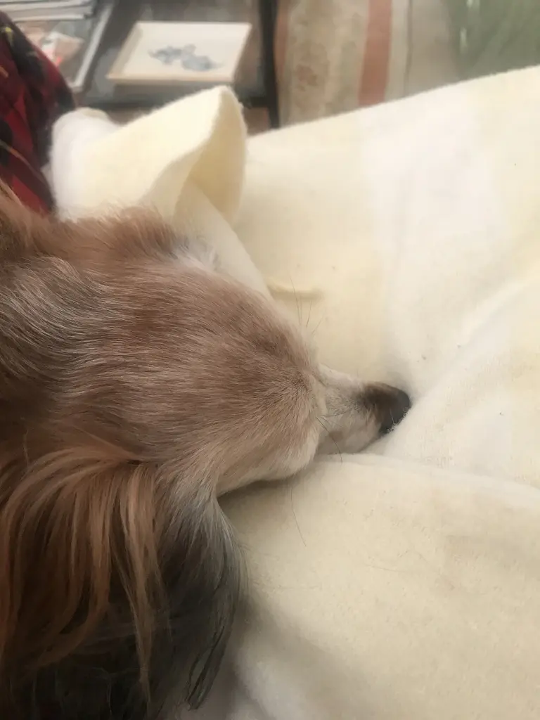 Condolence image of ♥️SEHNSUCHT♥️HOFFNUNG♥️LIEBE♥️