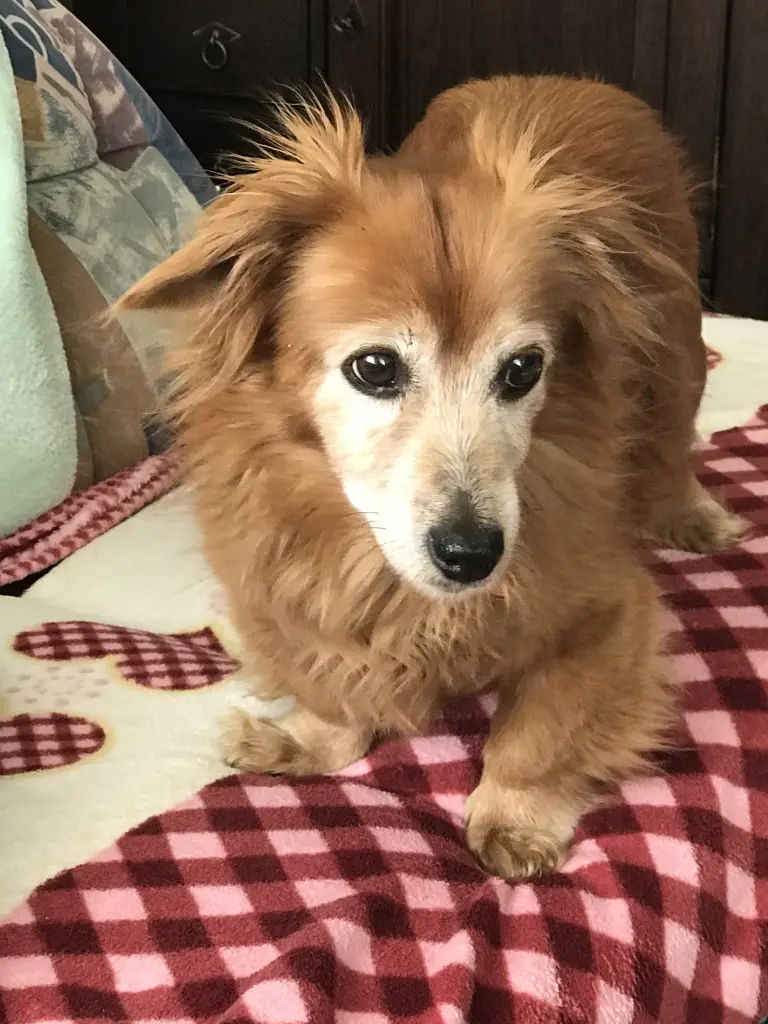 Condolence image of Heike 