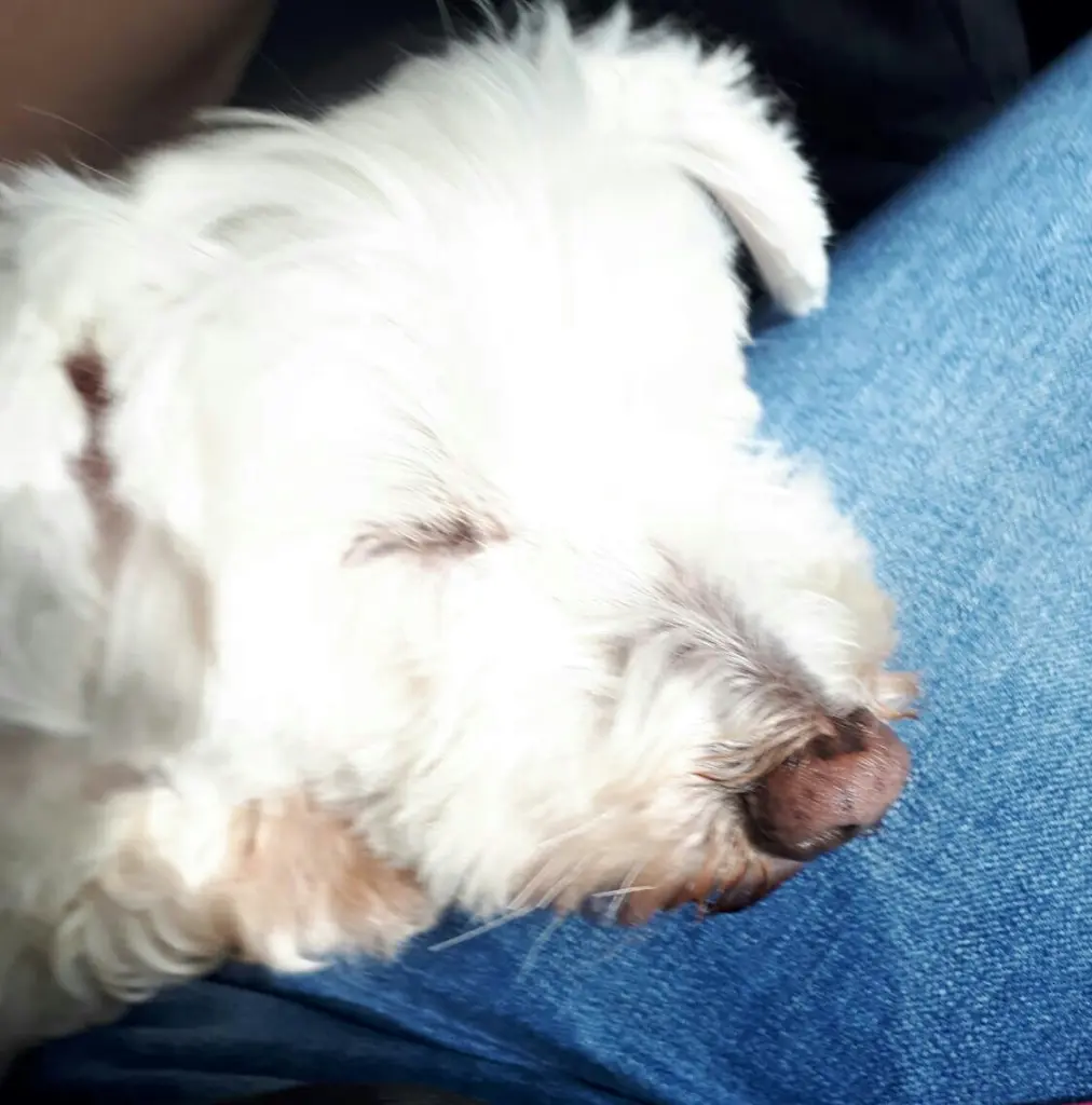 Condolence image of Ein lieber Gruß zum Wochenende ♥️