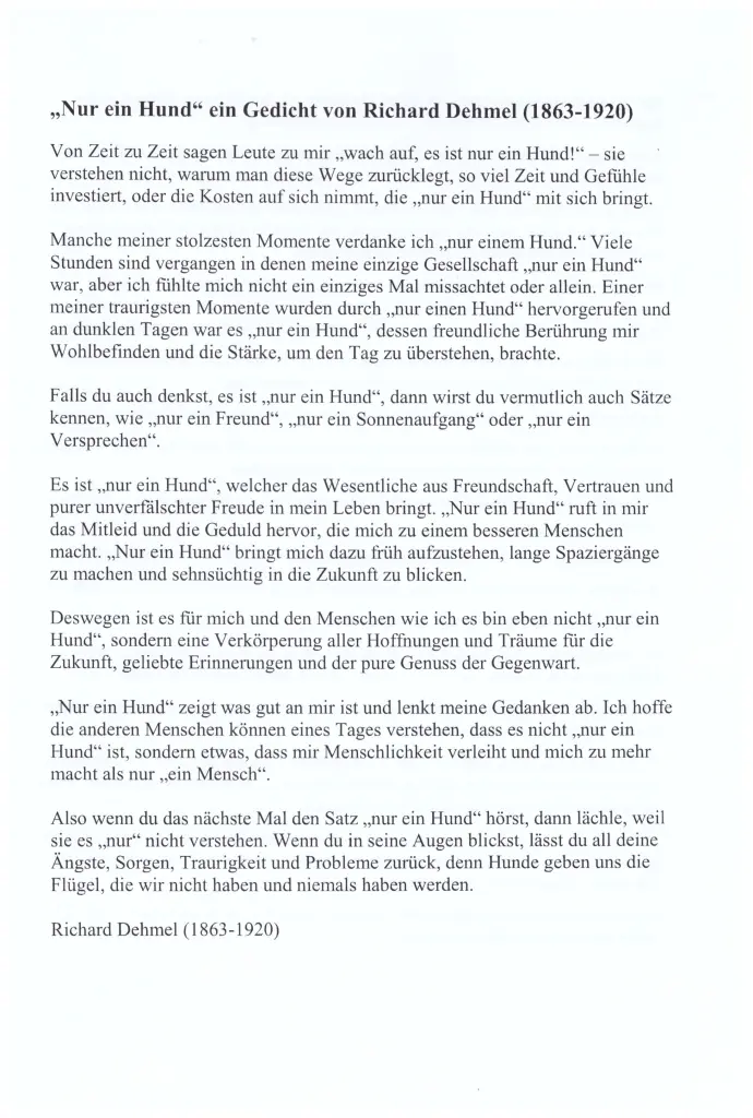 Condolence image of Paul mit "Seelenhund Spiky im Herzen"