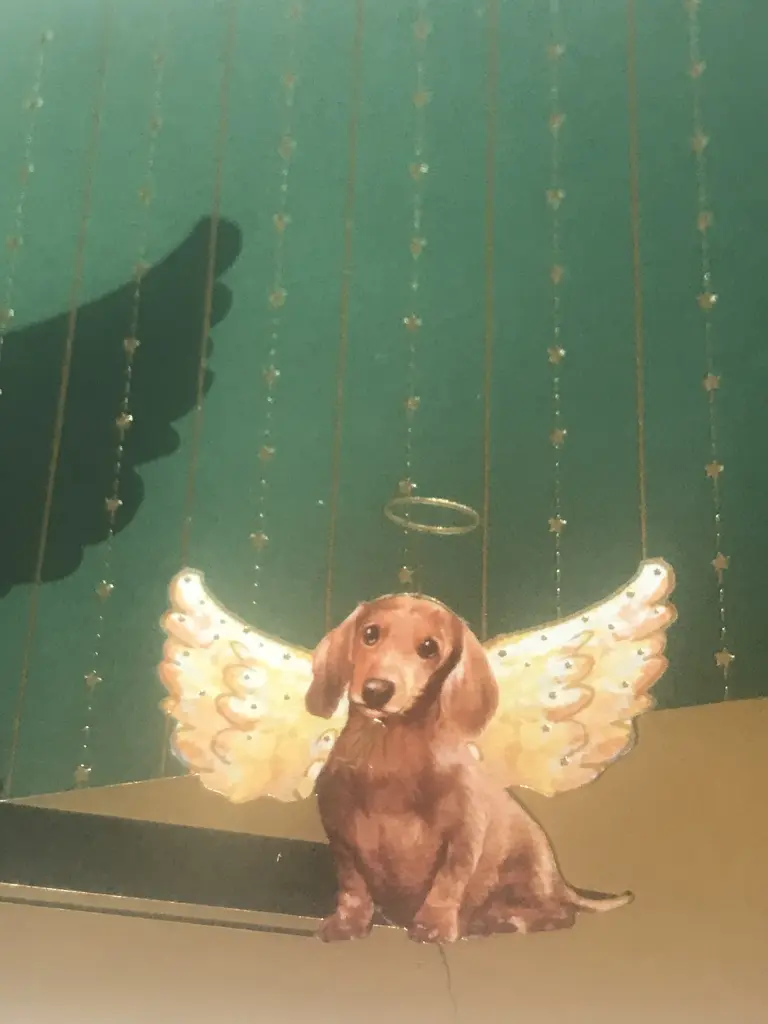 Condolence image of Heike 